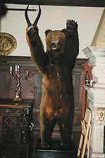 The Great Bear at Rockelstad